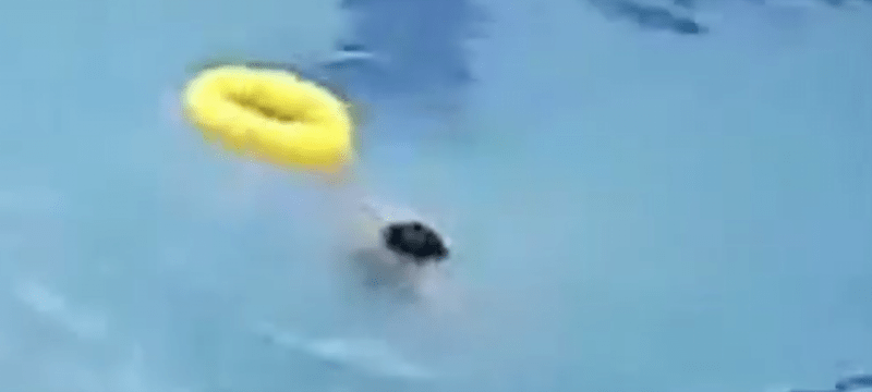 四川凉山一男孩在游泳馆溺亡，被曝一度无人施救！当地回应